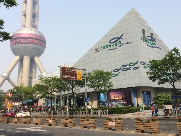 https://mdw-travel-data-us-east-1.s3.amazonaws.com/img/country/China/Shanghai-Ocean-Aquarium/img_03.jpg
