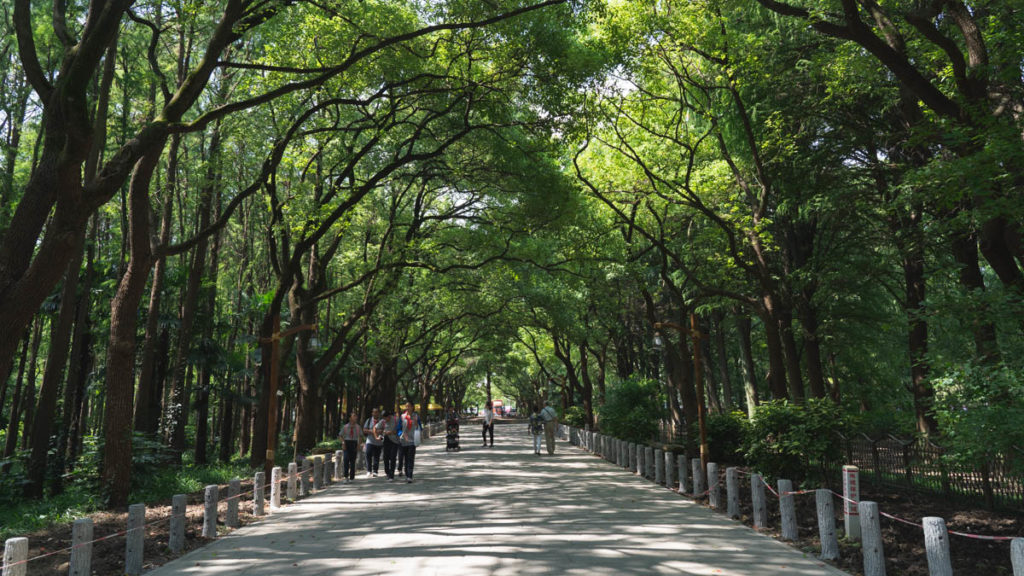 https://mdw-travel-data-us-east-1.s3.amazonaws.com/img/country/China/Shanghai-Urban-Forest-Park/img_02.jpg