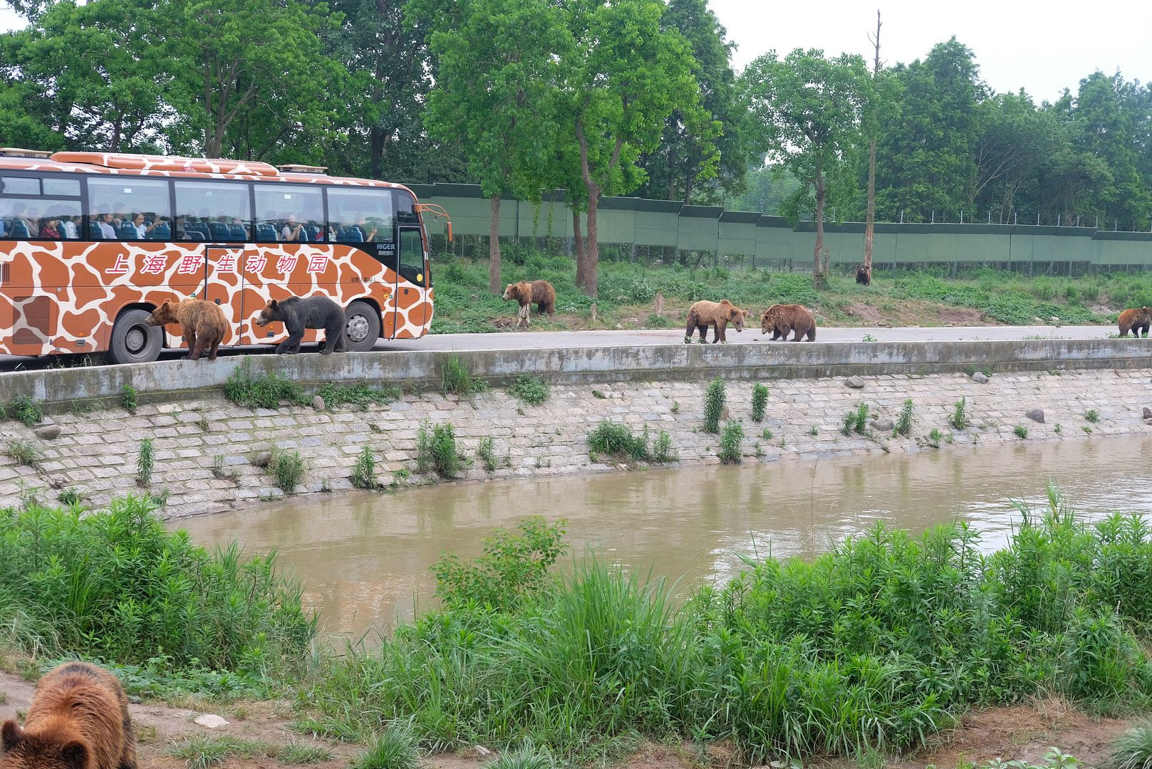 https://mdw-travel-data-us-east-1.s3.amazonaws.com/img/country/China/Shanghai-Zoo-Safari-Park/img_01.jpg