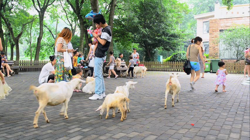https://mdw-travel-data-us-east-1.s3.amazonaws.com/img/country/China/Shanghai-Zoo/img_02.jpg