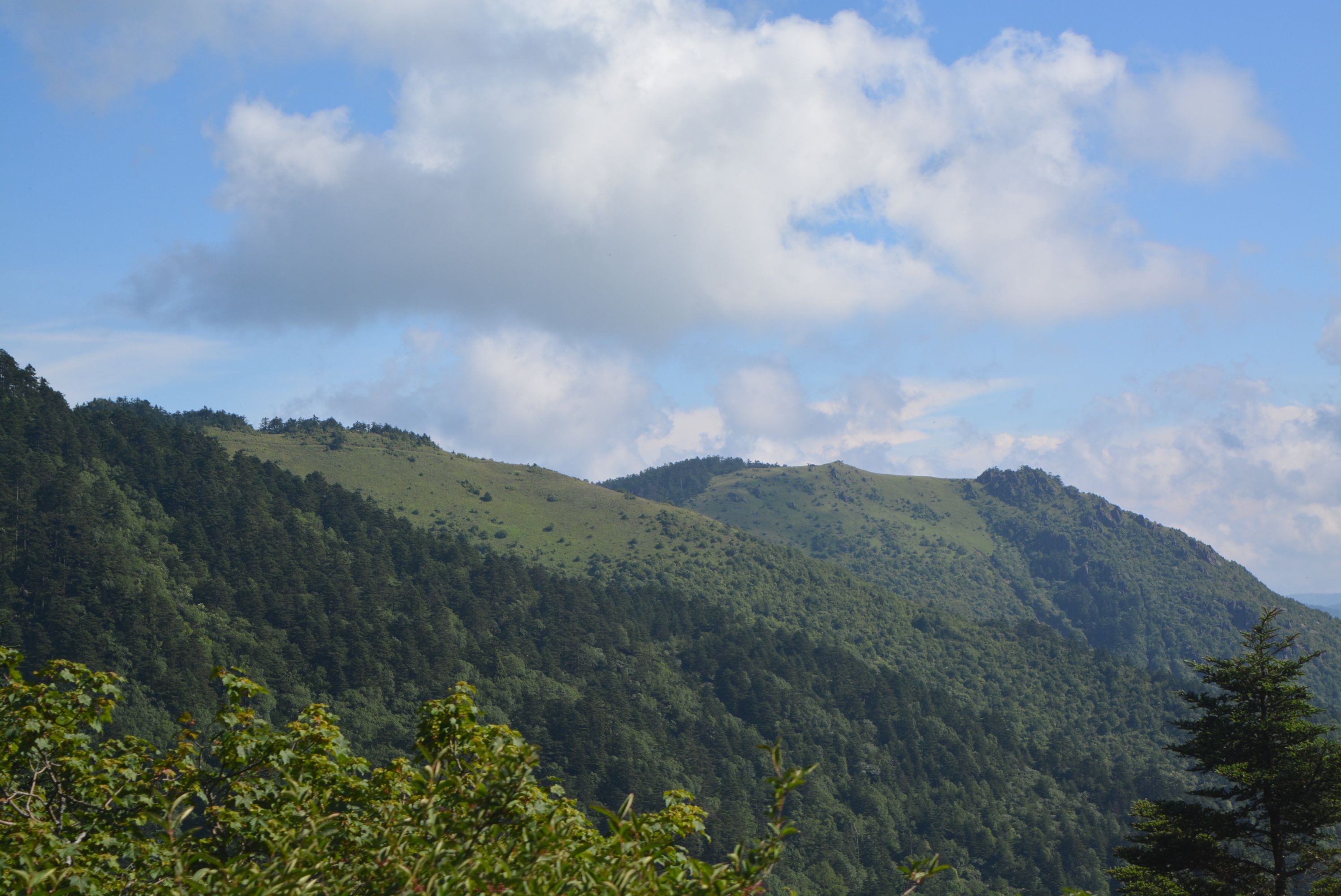 https://mdw-travel-data-us-east-1.s3.amazonaws.com/img/country/China/Shenlongjia-Nature-Reserve/img_02.jpg