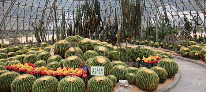 https://mdw-travel-data-us-east-1.s3.amazonaws.com/img/country/China/Shenzhen-Central-Park/img_03.jpg