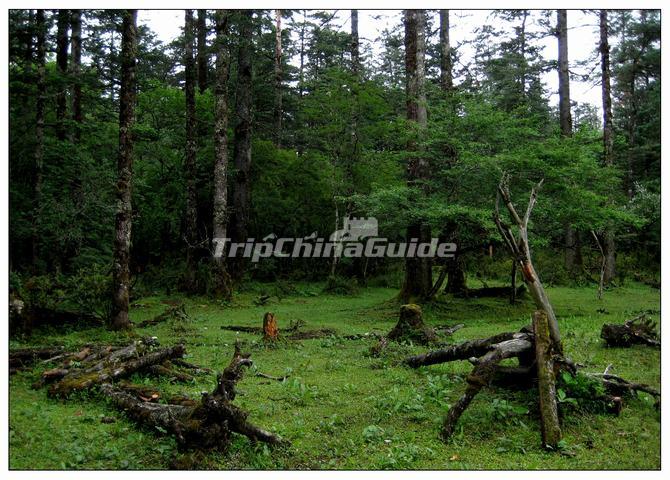 https://mdw-travel-data-us-east-1.s3.amazonaws.com/img/country/China/Spruce-Plateau/img_04.jpg