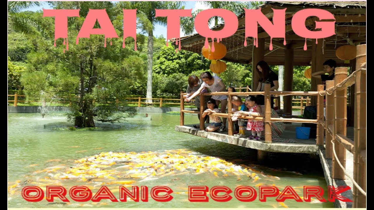 https://mdw-travel-data-us-east-1.s3.amazonaws.com/img/country/China/Tai-Tong-Organic-EcoPark/img_02.jpg