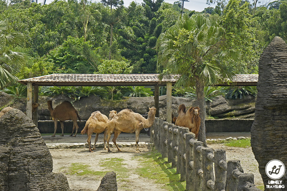 https://mdw-travel-data-us-east-1.s3.amazonaws.com/img/country/China/Taipei-Zoo/img_04.jpg