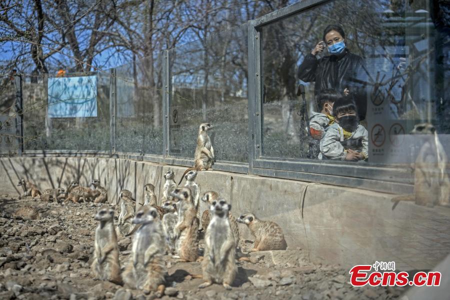 https://mdw-travel-data-us-east-1.s3.amazonaws.com/img/country/China/Tianjin-Zoo/img_01.jpg