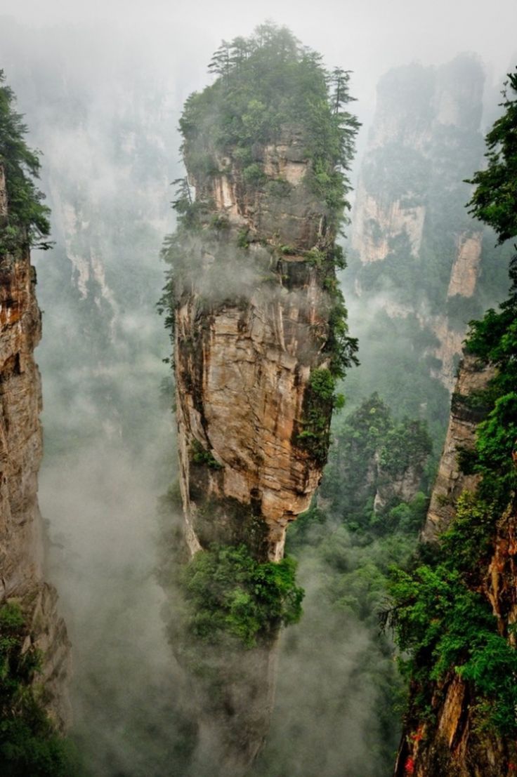 https://mdw-travel-data-us-east-1.s3.amazonaws.com/img/country/China/Tianzhushan-National-Forest-Park/img_03.jpg