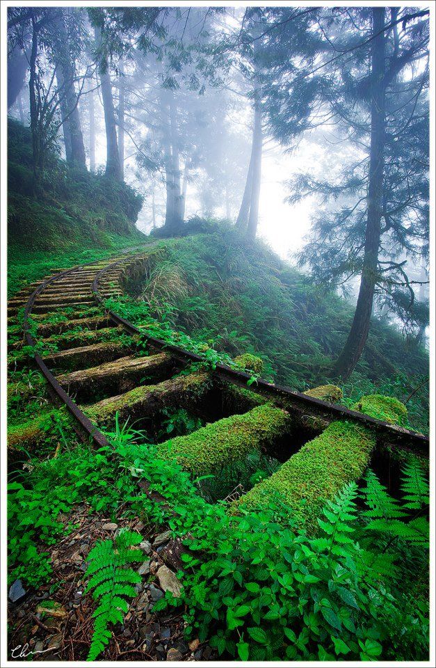 https://mdw-travel-data-us-east-1.s3.amazonaws.com/img/country/China/Tongniu-Ridge-National-Forest-Park/img_01.jpg