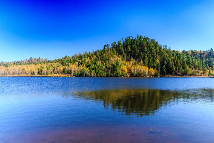 https://mdw-travel-data-us-east-1.s3.amazonaws.com/img/country/China/Tongniu-Ridge-National-Forest-Park/img_02.jpg