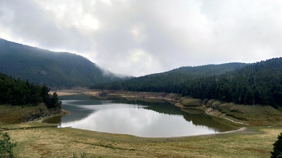 https://mdw-travel-data-us-east-1.s3.amazonaws.com/img/country/China/Tongniu-Ridge-National-Forest-Park/img_03.jpg