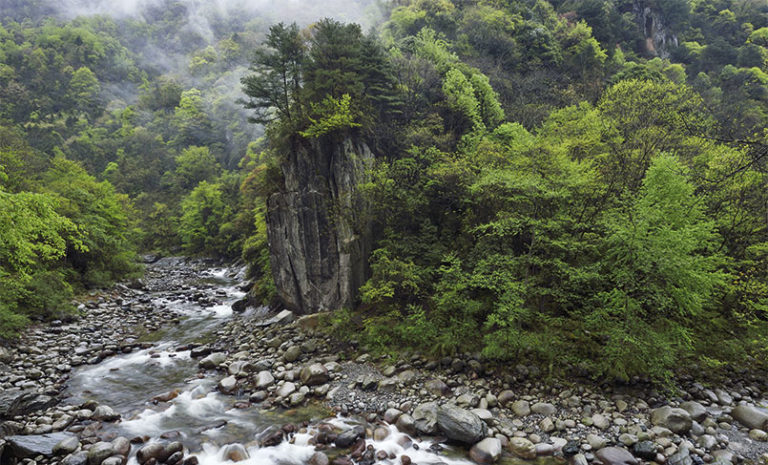https://mdw-travel-data-us-east-1.s3.amazonaws.com/img/country/China/Tongniu-Ridge-National-Forest-Park/img_05.jpg