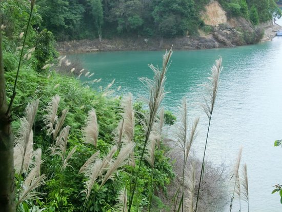 https://mdw-travel-data-us-east-1.s3.amazonaws.com/img/country/China/Wanlv-Lake-Scenic-Area/img_03.jpg