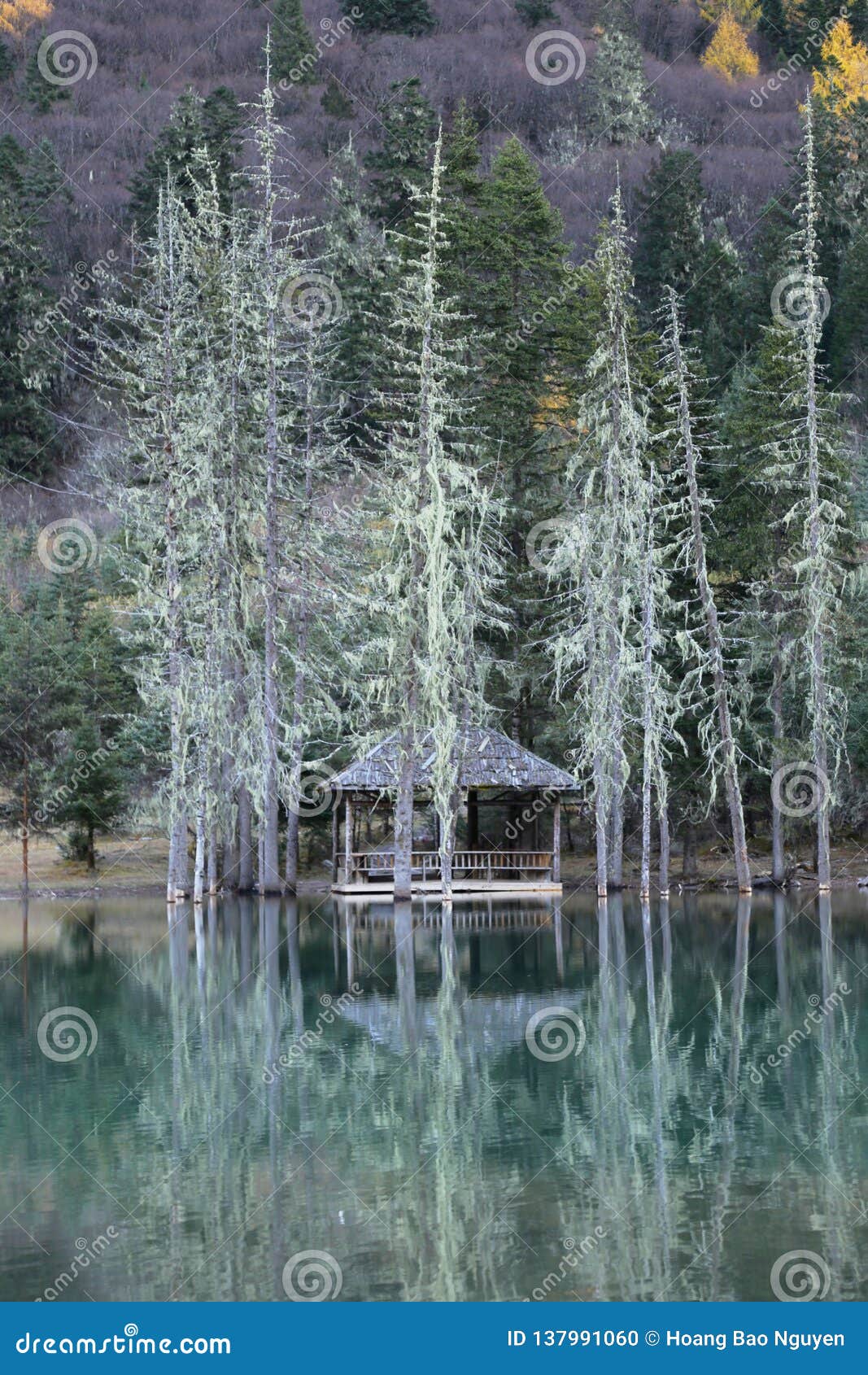 https://mdw-travel-data-us-east-1.s3.amazonaws.com/img/country/China/Wenjiang-Qionglai-Park/img_03.jpg