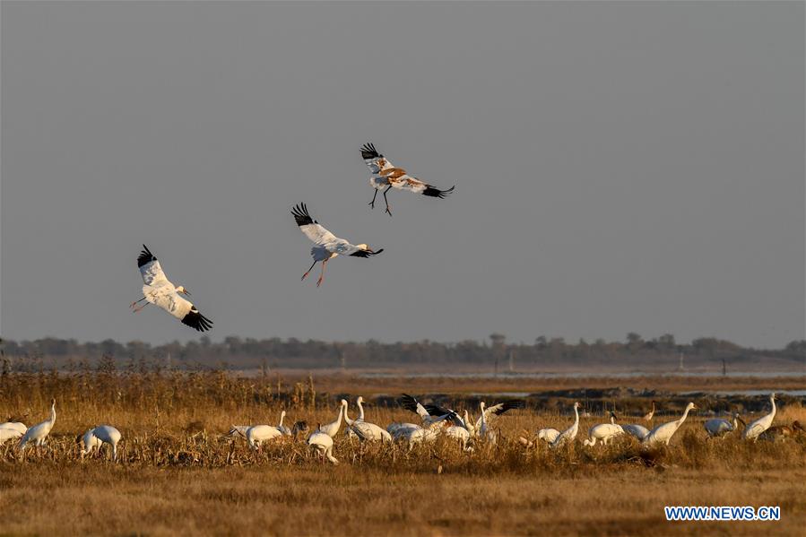 https://mdw-travel-data-us-east-1.s3.amazonaws.com/img/country/China/White-Crane-Forest-Park/img_01.jpg