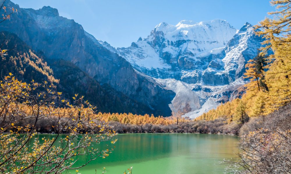https://mdw-travel-data-us-east-1.s3.amazonaws.com/img/country/China/Wolong-National-Nature-Reserve/img_01.jpg
