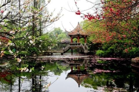 https://mdw-travel-data-us-east-1.s3.amazonaws.com/img/country/China/Wuhan-Botanical-Garden/img_03.jpg