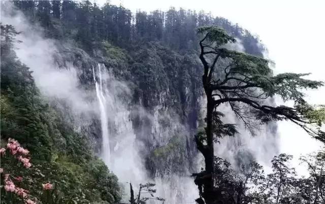 https://mdw-travel-data-us-east-1.s3.amazonaws.com/img/country/China/Wujiashan-National-Forest-Park/img_01.jpg