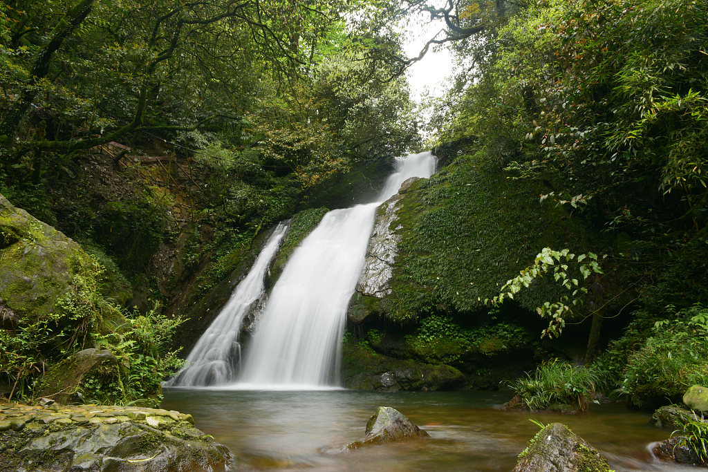 https://mdw-travel-data-us-east-1.s3.amazonaws.com/img/country/China/Wujiashan-National-Forest-Park/img_02.jpg