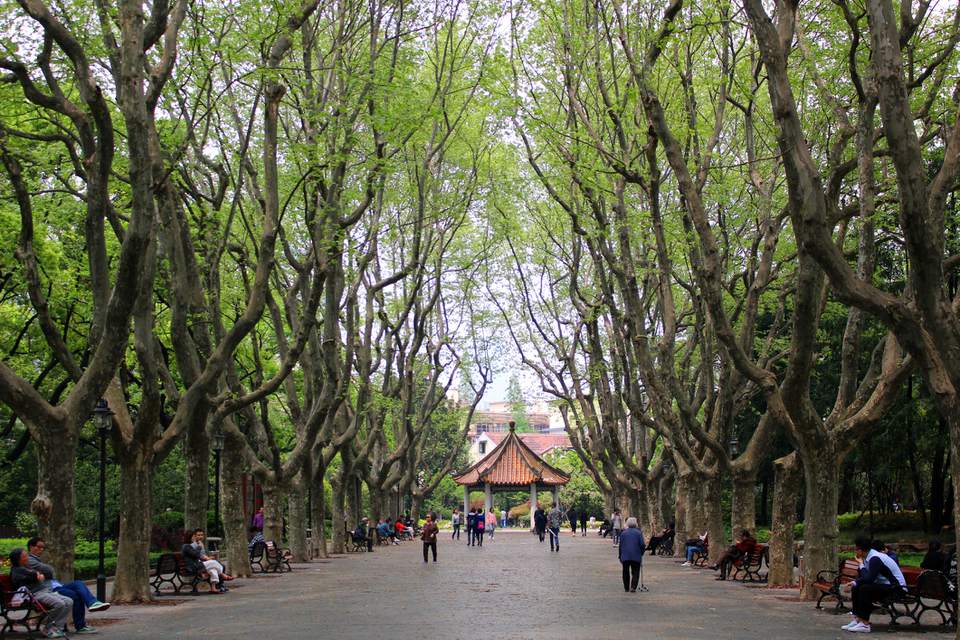 https://mdw-travel-data-us-east-1.s3.amazonaws.com/img/country/China/Xiangyang-Park/img_02.jpg