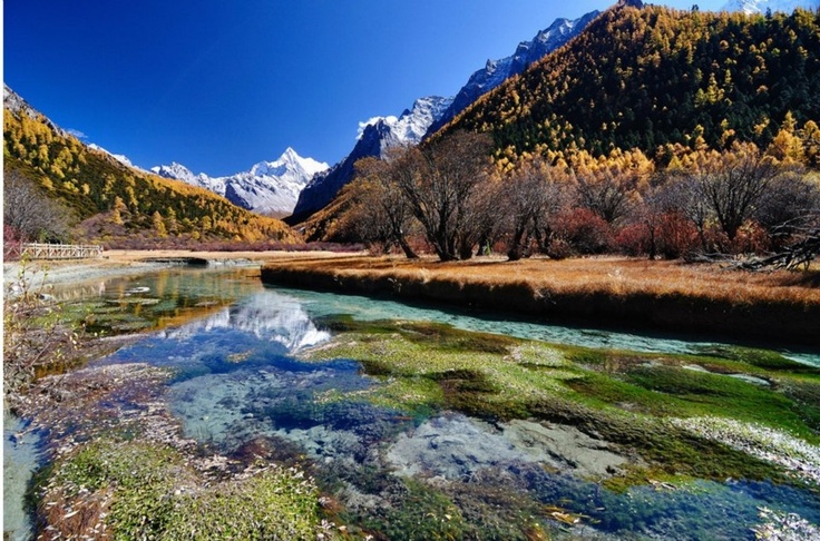 https://mdw-travel-data-us-east-1.s3.amazonaws.com/img/country/China/Yading-Nature-Reserve/img_02.jpg