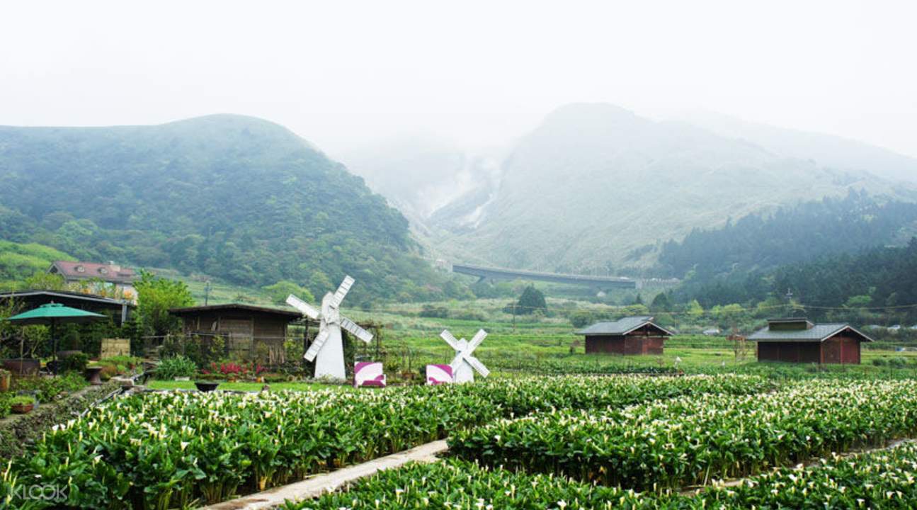 https://mdw-travel-data-us-east-1.s3.amazonaws.com/img/country/China/Yangmingshan-National-Park/img_05.jpg