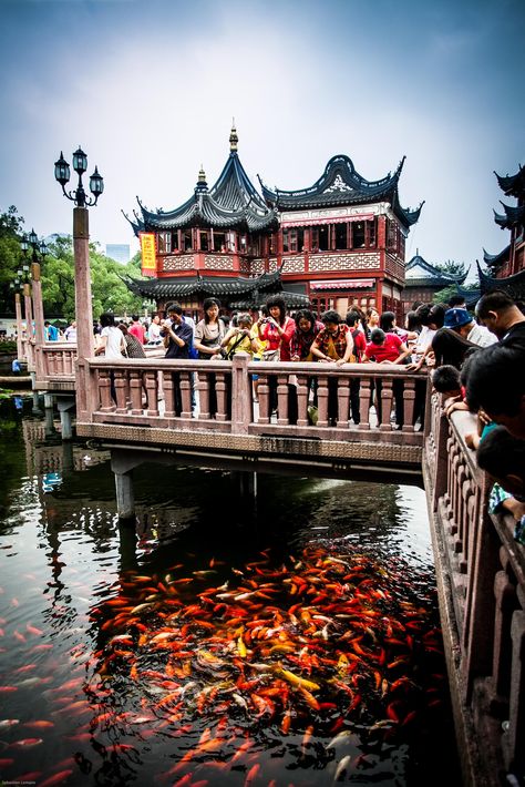 https://mdw-travel-data-us-east-1.s3.amazonaws.com/img/country/China/Yu-Garden/img_02.jpg