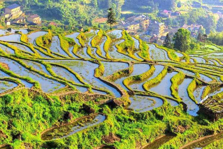https://mdw-travel-data-us-east-1.s3.amazonaws.com/img/country/China/Yunhe-Rice-Terraces/img_01.jpg