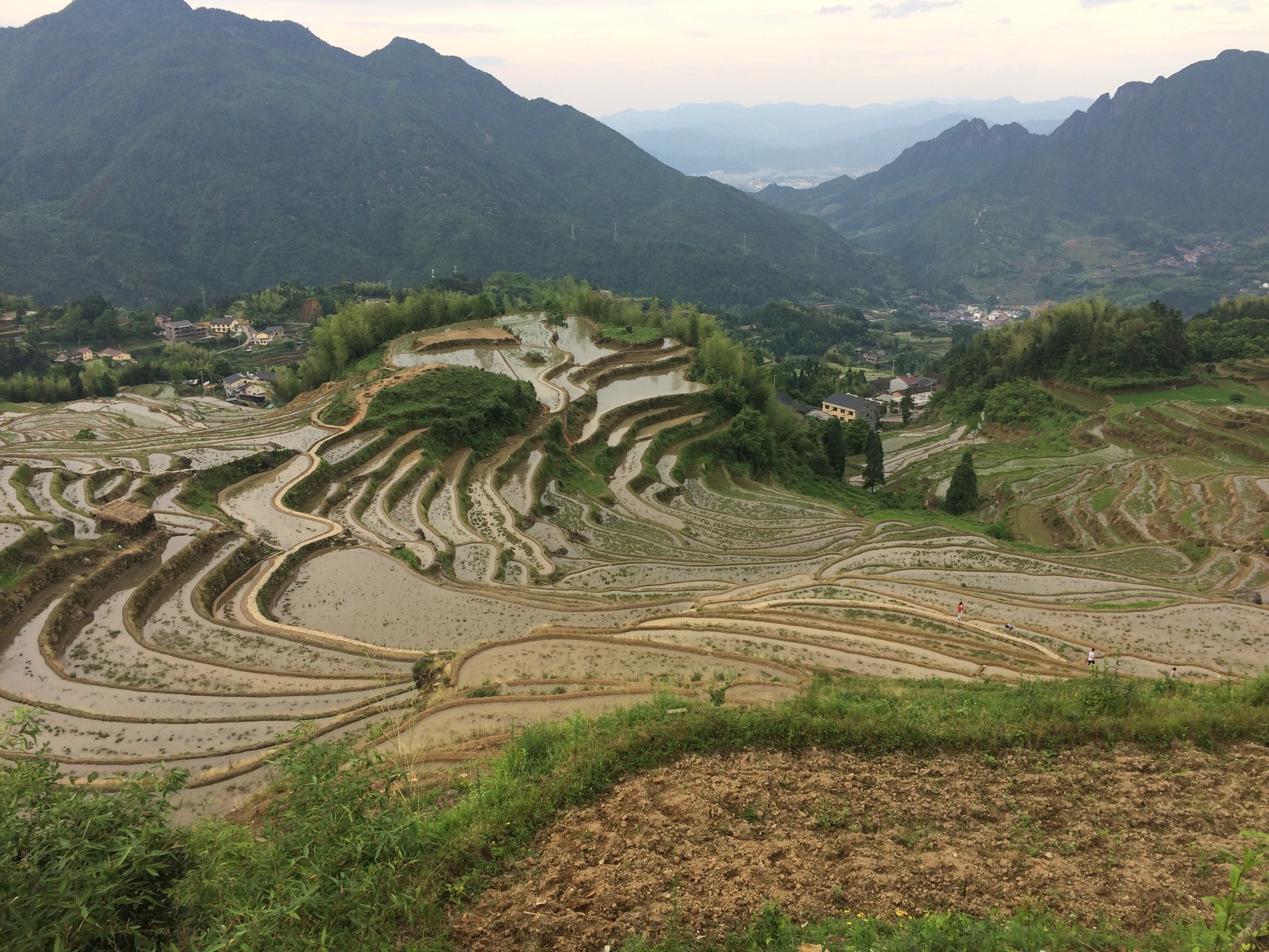 https://mdw-travel-data-us-east-1.s3.amazonaws.com/img/country/China/Yunhe-Rice-Terraces/img_02.jpg
