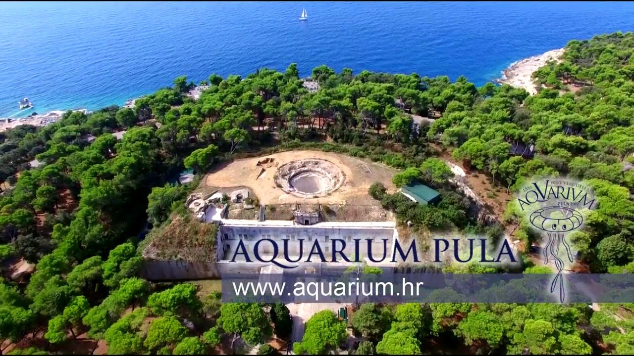 https://mdw-travel-data-us-east-1.s3.amazonaws.com/img/country/Croatia/Aquarium-Pula/img_00.jpg