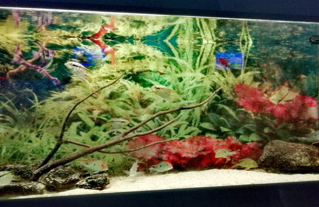 https://mdw-travel-data-us-east-1.s3.amazonaws.com/img/country/Croatia/Aquarium-Terrarium-Sibenik/img_01.jpg