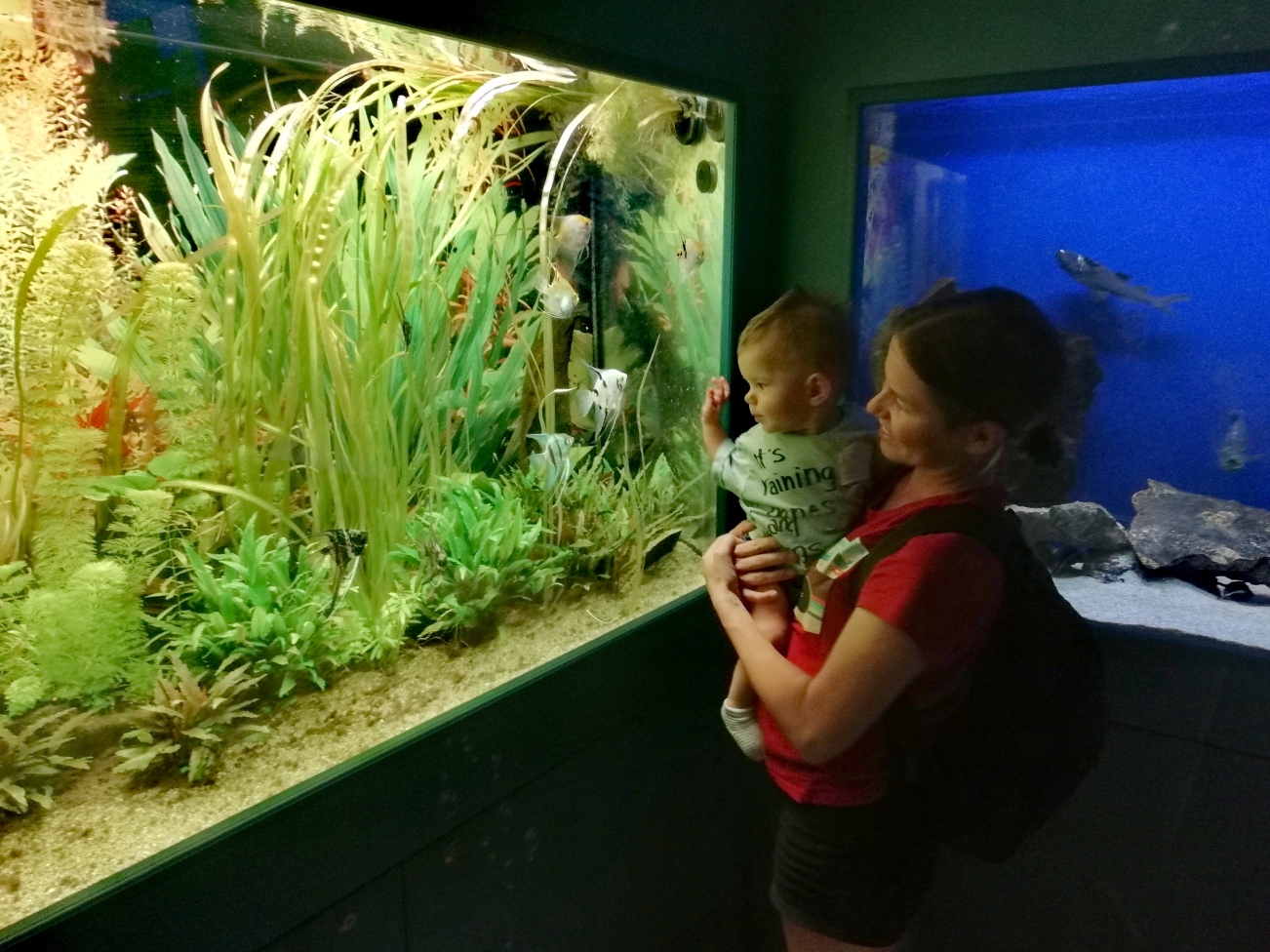 https://mdw-travel-data-us-east-1.s3.amazonaws.com/img/country/Croatia/Aquarium-Terrarium-Sibenik/img_03.jpg