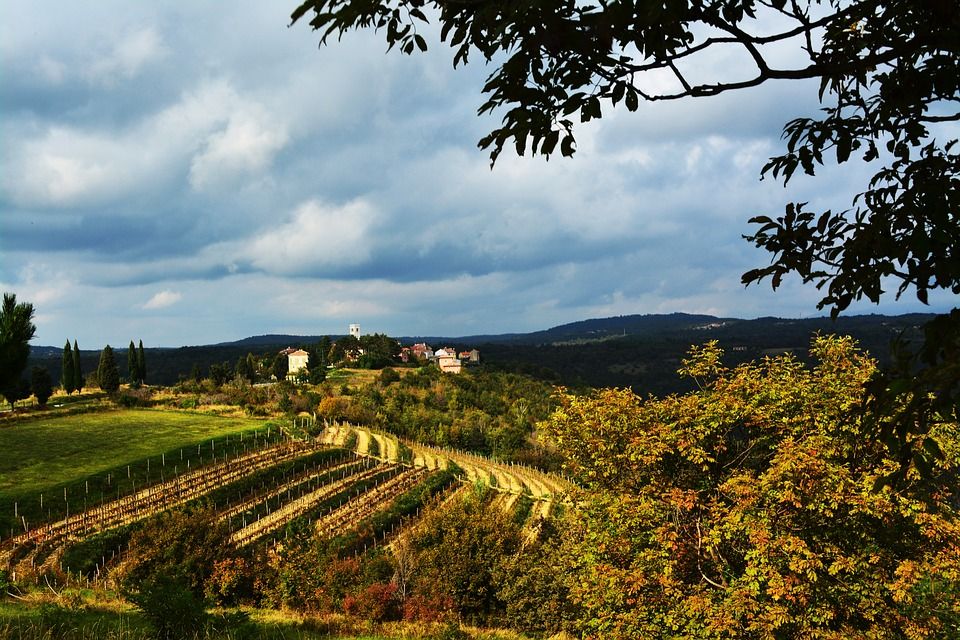 https://mdw-travel-data-us-east-1.s3.amazonaws.com/img/country/Croatia/Arsa-Vineyard/img_02.jpg