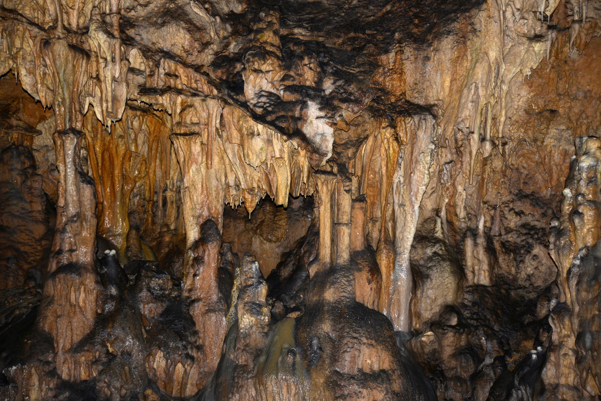 https://mdw-travel-data-us-east-1.s3.amazonaws.com/img/country/Croatia/Biserujka-Cave/img_02.jpg
