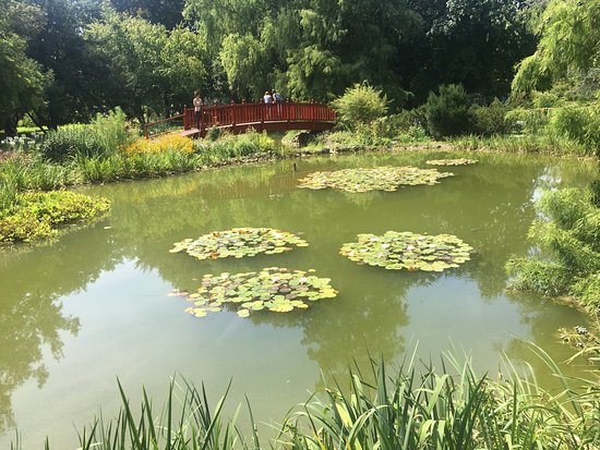 https://mdw-travel-data-us-east-1.s3.amazonaws.com/img/country/Croatia/Botanical-Garden/img_02.jpg