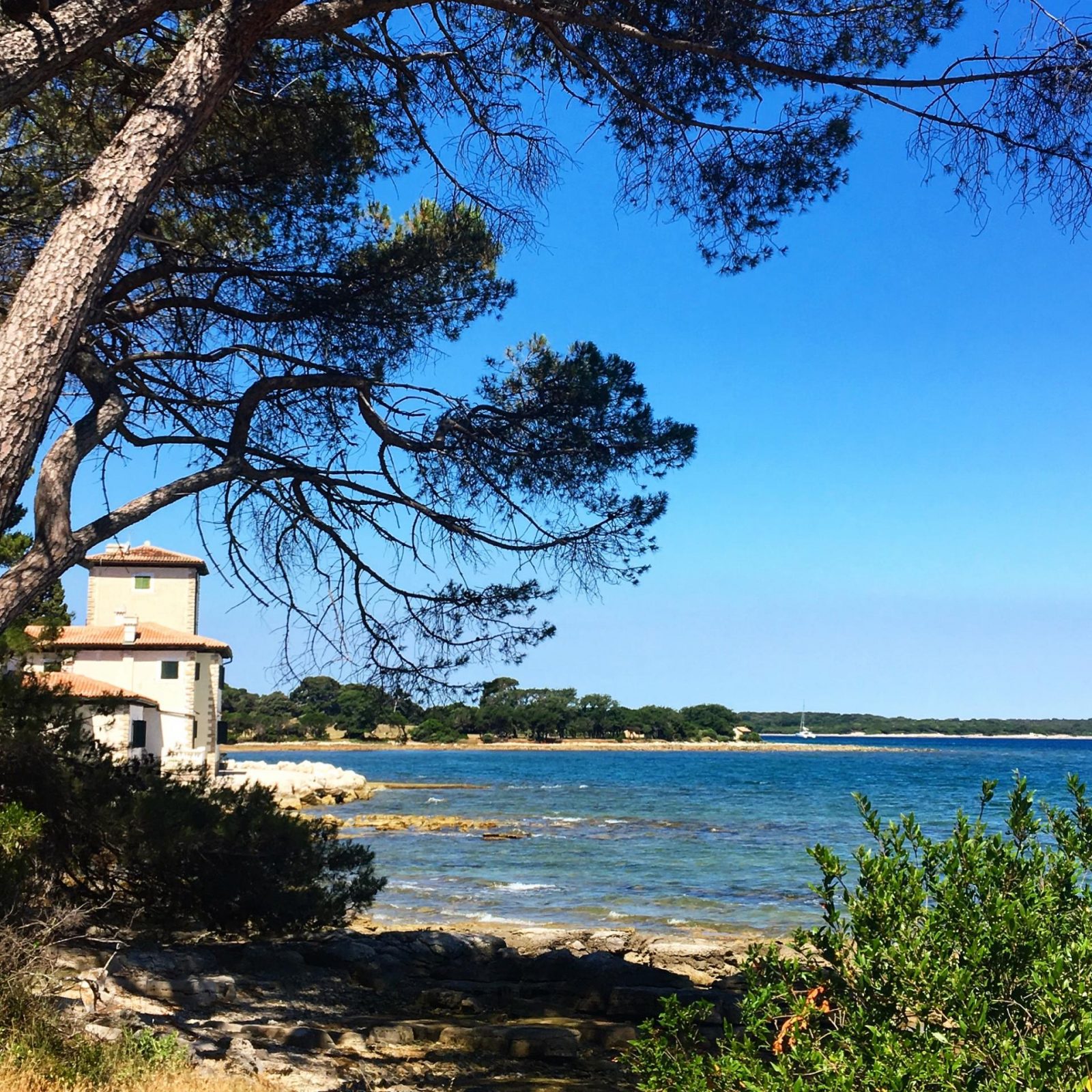 https://mdw-travel-data-us-east-1.s3.amazonaws.com/img/country/Croatia/Brijuni-National-Park/img_01.jpg