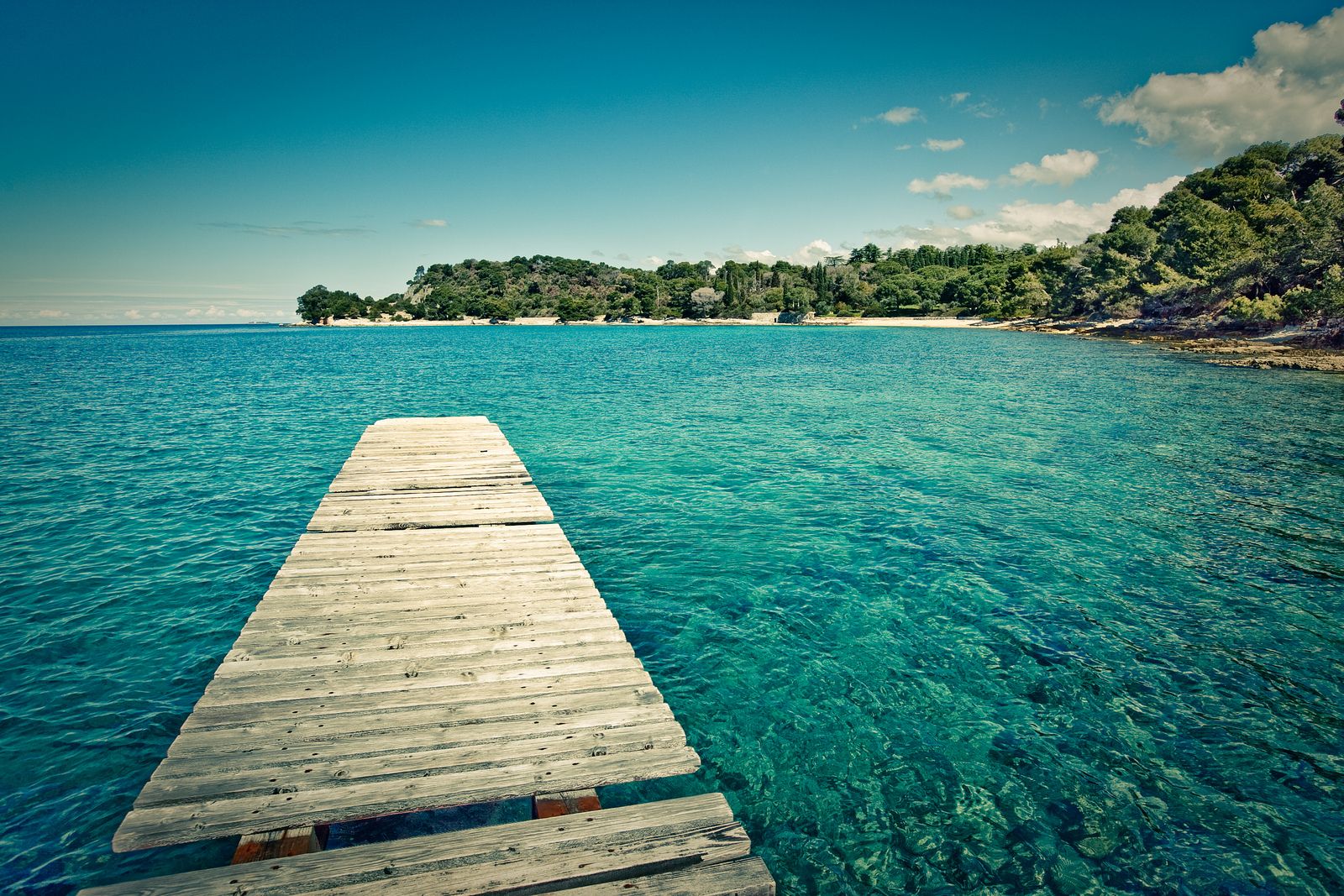 https://mdw-travel-data-us-east-1.s3.amazonaws.com/img/country/Croatia/Golden-Cape-Park-Forest/img_01.jpg