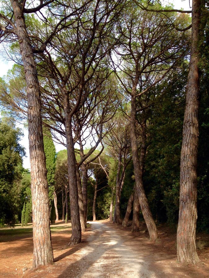 https://mdw-travel-data-us-east-1.s3.amazonaws.com/img/country/Croatia/Golden-Cape-Park-Forest/img_02.jpg