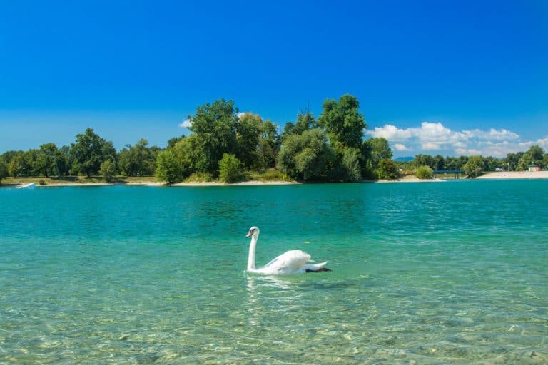 https://mdw-travel-data-us-east-1.s3.amazonaws.com/img/country/Croatia/Jarun-Lake/img_03.jpg