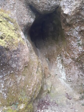 https://mdw-travel-data-us-east-1.s3.amazonaws.com/img/country/Croatia/Krapina-Neanderthal-Museum/img_05.jpg