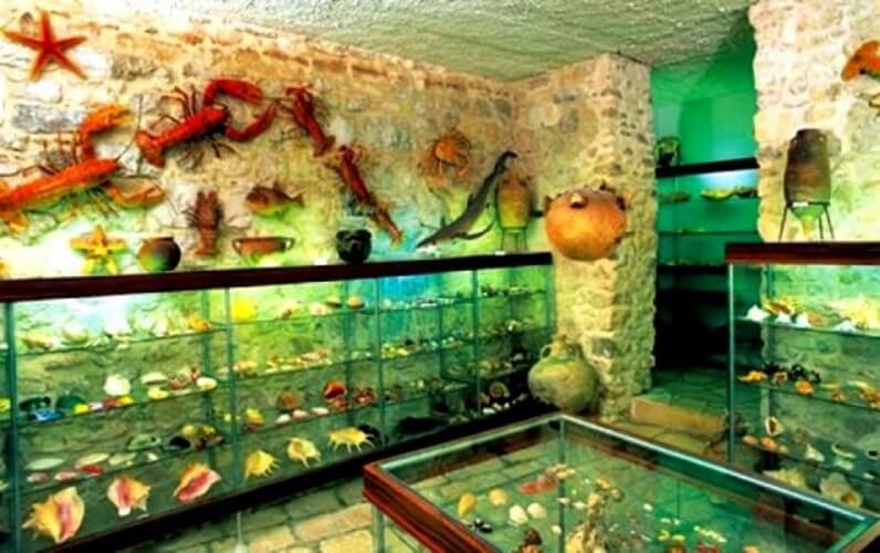 https://mdw-travel-data-us-east-1.s3.amazonaws.com/img/country/Croatia/Malacological-Museum/img_03.jpg