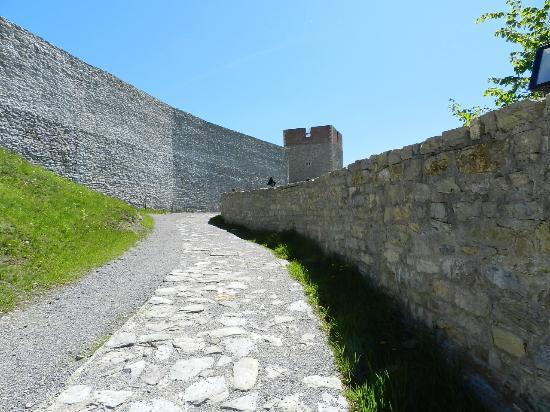 https://mdw-travel-data-us-east-1.s3.amazonaws.com/img/country/Croatia/Medvedgrad/img_02.jpg