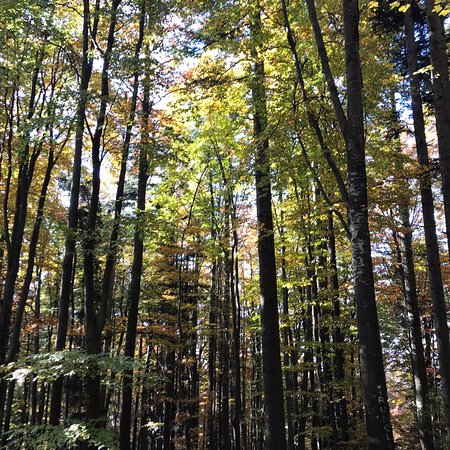 https://mdw-travel-data-us-east-1.s3.amazonaws.com/img/country/Croatia/Medvednica-Nature-Park/img_02.jpg