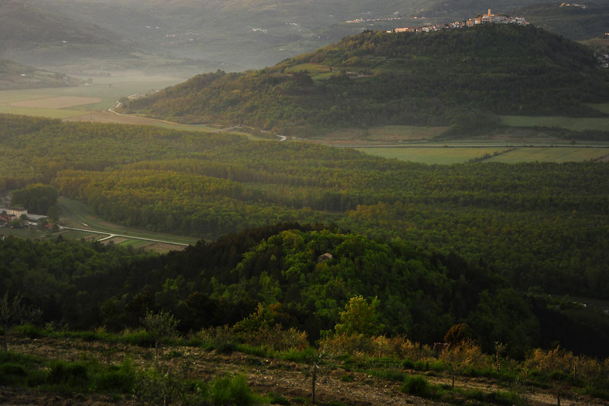https://mdw-travel-data-us-east-1.s3.amazonaws.com/img/country/Croatia/Motovunska-suma/img_02.jpg