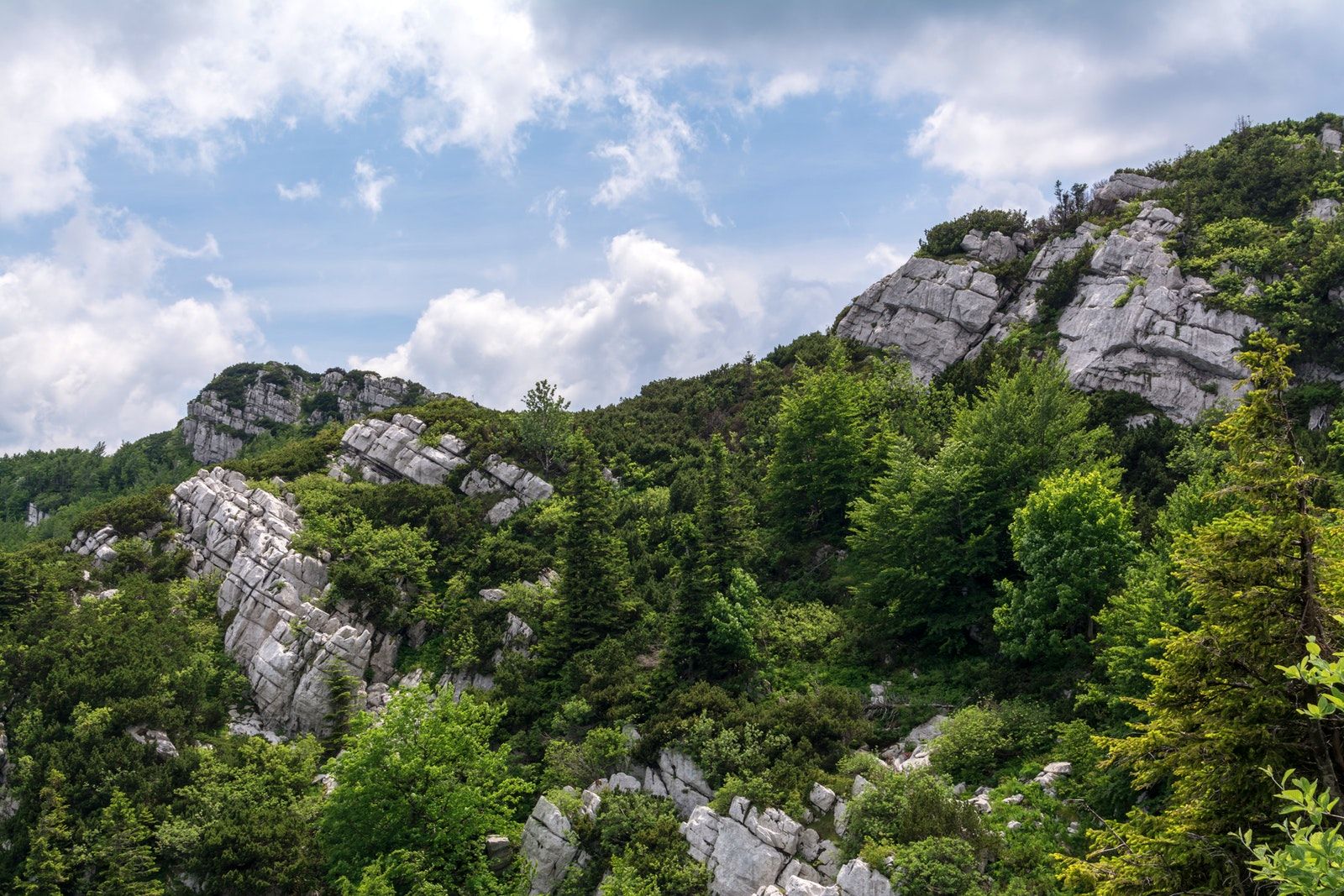 https://mdw-travel-data-us-east-1.s3.amazonaws.com/img/country/Croatia/National-Park-Risnjak/img_03.jpg