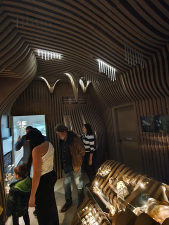 https://mdw-travel-data-us-east-1.s3.amazonaws.com/img/country/Croatia/Natural-Science-Museum-Rijeka/img_01.jpg