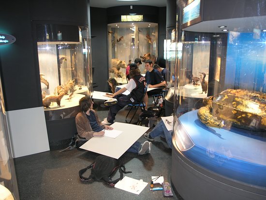 https://mdw-travel-data-us-east-1.s3.amazonaws.com/img/country/Croatia/Natural-Science-Museum-Rijeka/img_03.jpg
