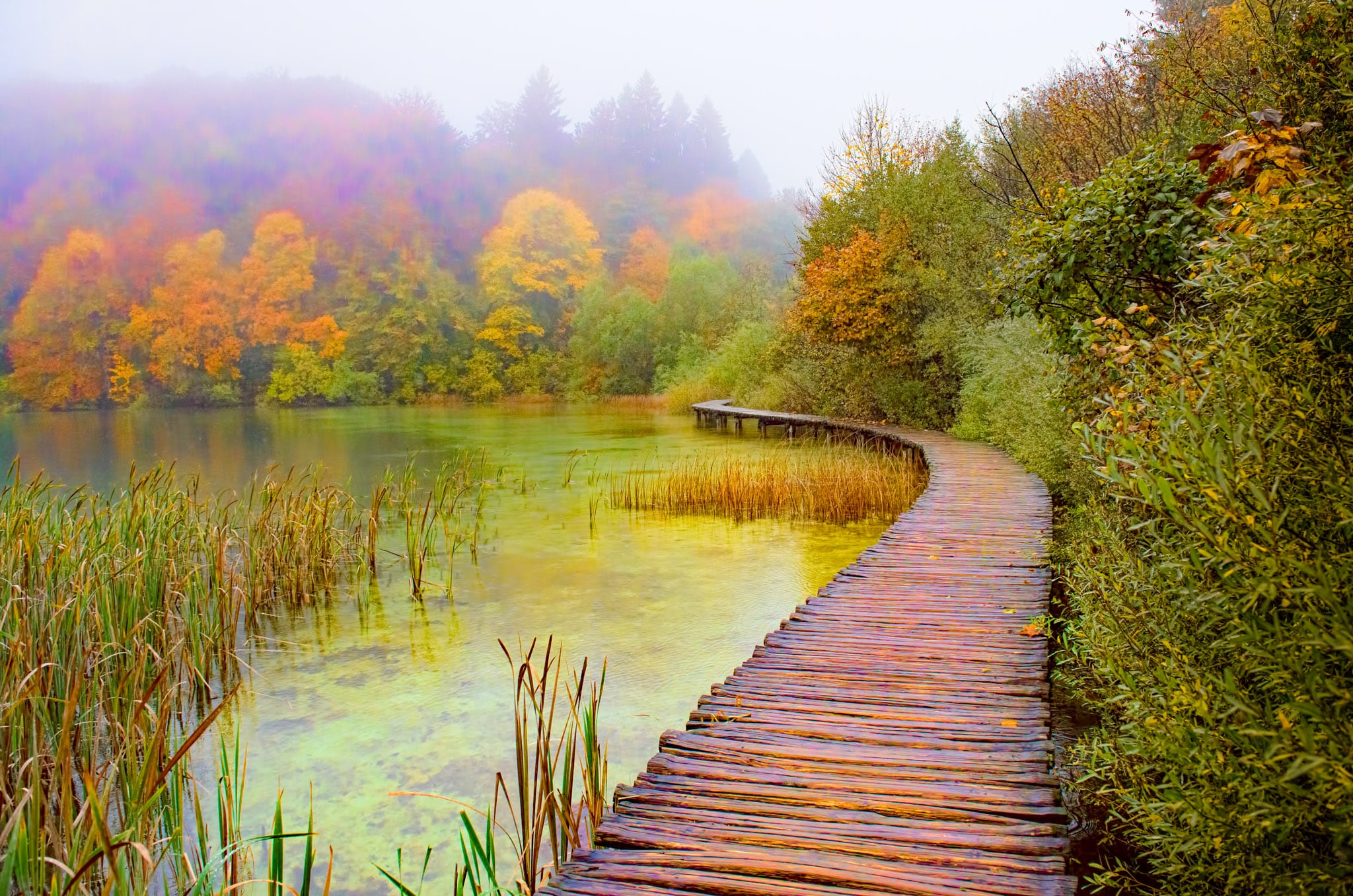 https://mdw-travel-data-us-east-1.s3.amazonaws.com/img/country/Croatia/Plitvice-Lakes-National-Park/img_02.jpg