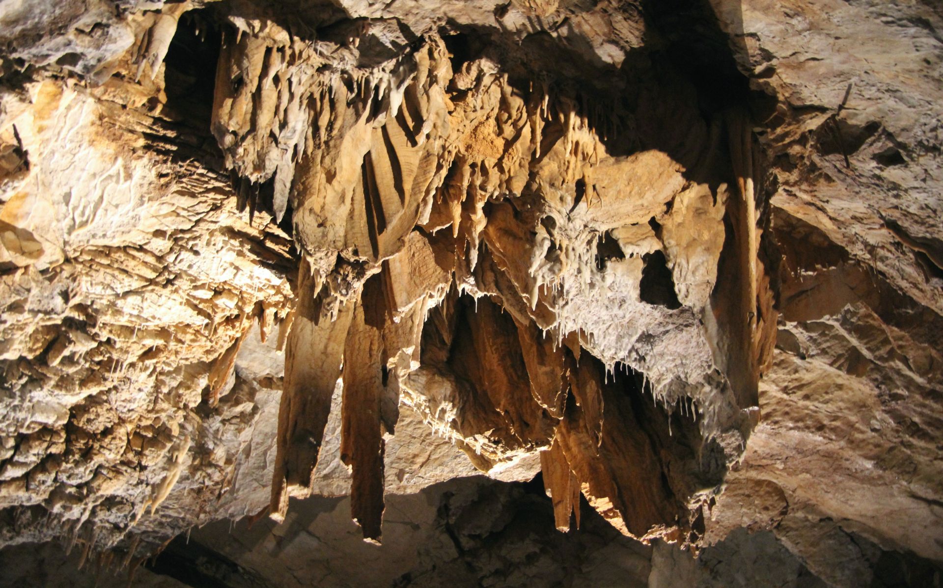 https://mdw-travel-data-us-east-1.s3.amazonaws.com/img/country/Croatia/Vjetrenica-Cave/img_01.jpg