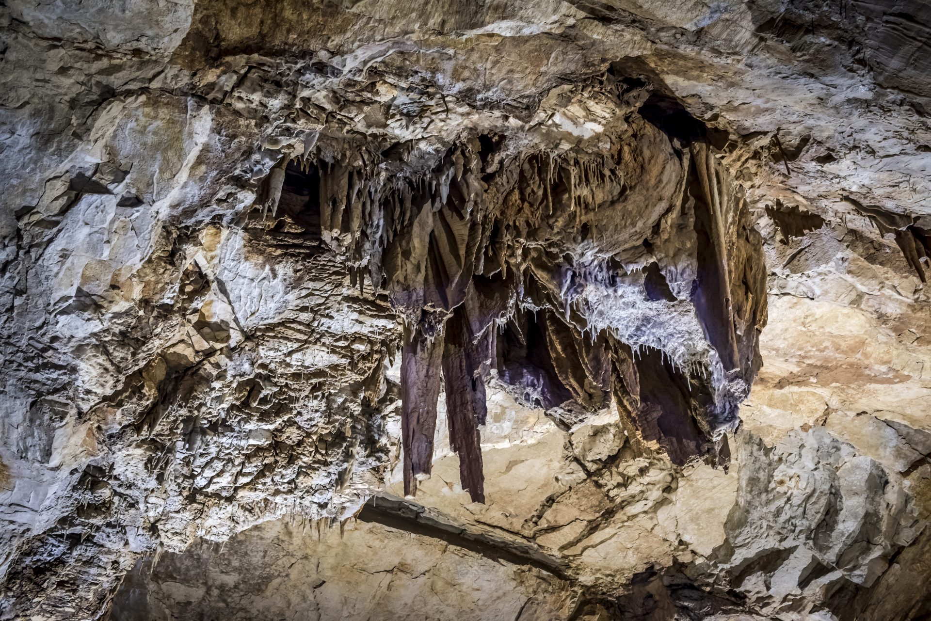 https://mdw-travel-data-us-east-1.s3.amazonaws.com/img/country/Croatia/Vjetrenica-Cave/img_03.jpg