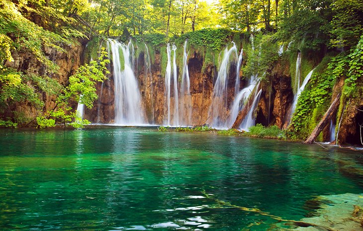 https://mdw-travel-data-us-east-1.s3.amazonaws.com/img/country/Croatia/Wildbear-Kingdom/img_02.jpg